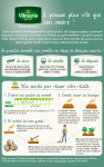 Légumes Secs - Pois Nain à Grain Ridé Kelvil - 20 m - MEDIA_PACKAGING_VERSO